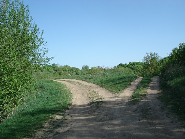 obedience decision fork in the road